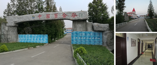 山東沂水食用百合研究開(kāi)發(fā)中心采購(gòu)濾中濾辦公飲水機(jī)